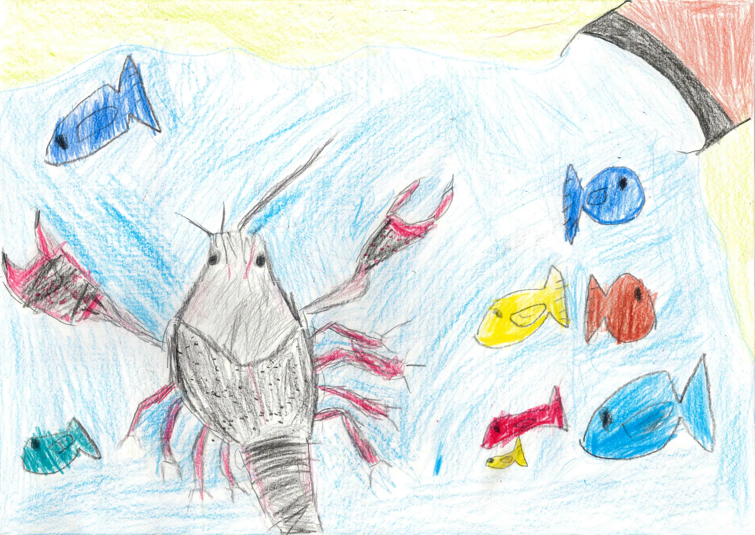 1年_大澤　優　おおさわ　ゆう