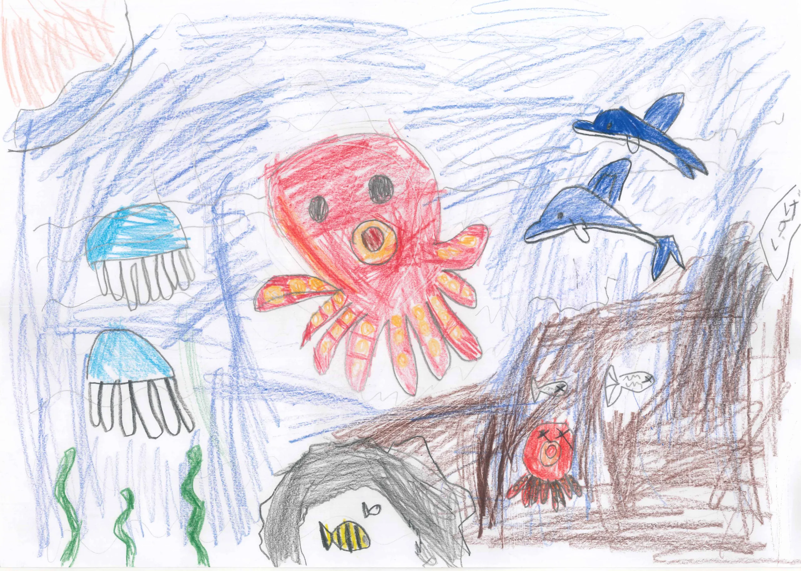 1年_関口　幸来　せきぐち　ここ