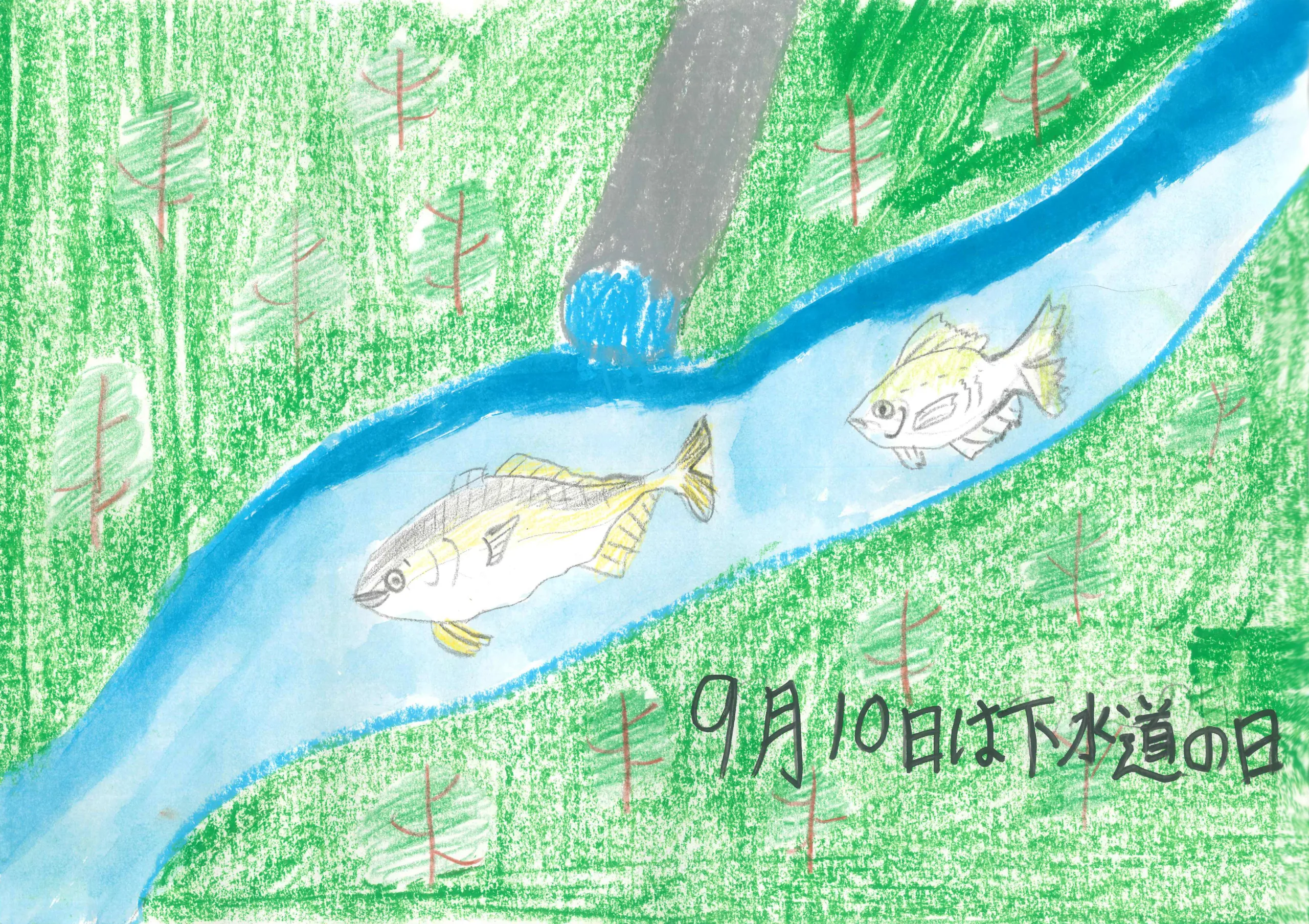 5年_有井　佐希冨　ありい　さきと